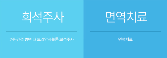 탈모치료 프로그램 설명