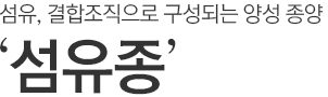 섬유,결합조직으로 구성되는 양성 종양. 섬유종.