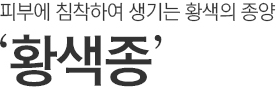 피부에 침착하여 생기는 황색의 종양. 황색종