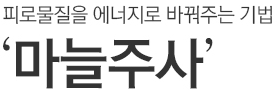 피로물질을 에너지로 바꿔주는 기법. 마늘주사
